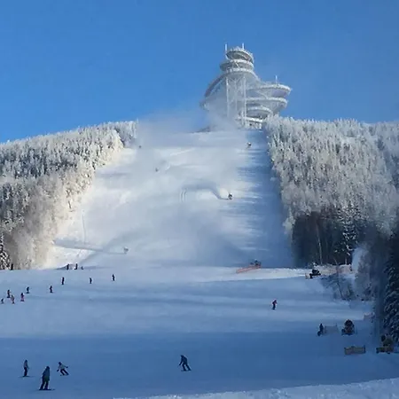 V Zeleni Dolni Morava
