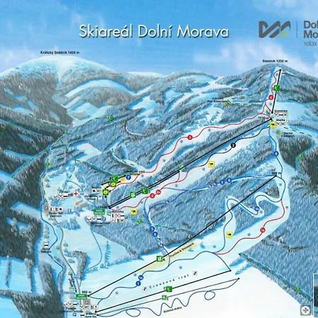 Daire V Zeleni