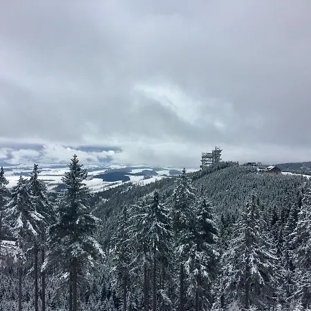 V Zeleni *