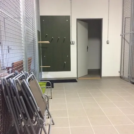 Appartement V Zeleni Dolní Morava