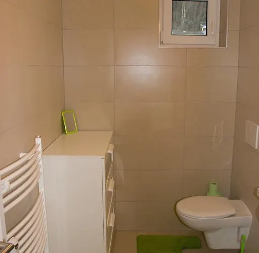 V Zeleni Daire