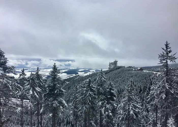 V Zeleni *